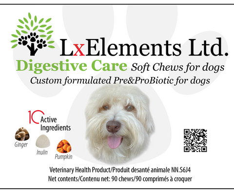 LxElements Ltd. Digestive Care probiotic with prebiotic soft chews for dogs 10 Active Ingredients for gut health, upset stomach, immune system VHP
